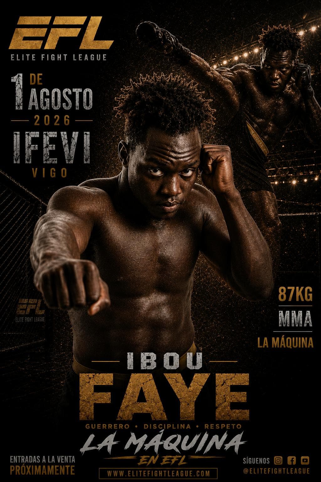 IBOU FAYE